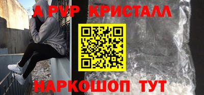 СК Бийск