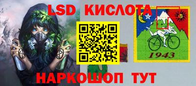 СК Бийск