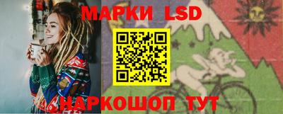 СК Бийск