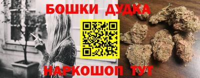 СК Бийск
