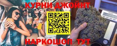 СК Бийск