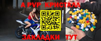 СК Бийск