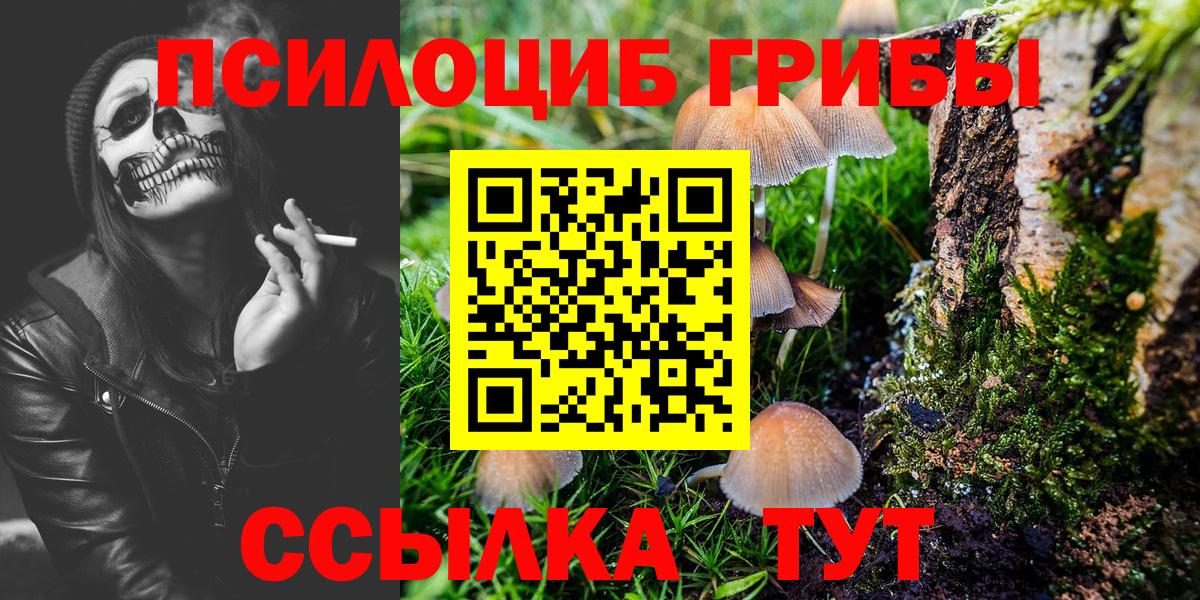 Псилоцибиновые грибы MAGIC MUSHROOMS Жуковский