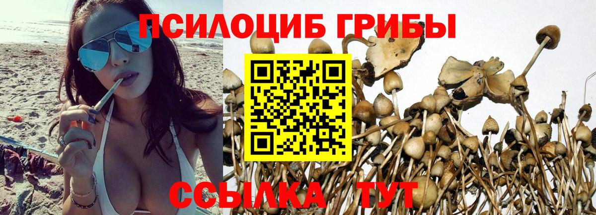 Галлюциногенные грибы GOLDEN TEACHER  Вход с VPN  Жуковский  Псилоцибиновые грибы Cubensis 