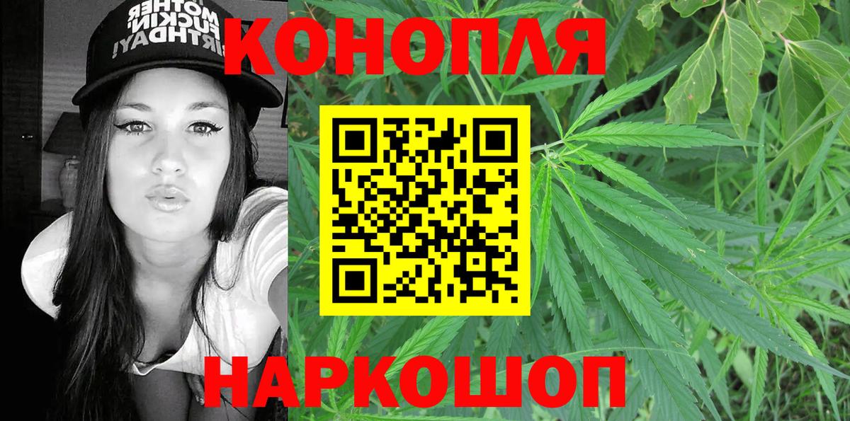 Бошки Шишки планчик Жуковский